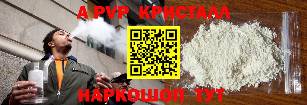 Альфа ПВП СК КРИС Курчалой