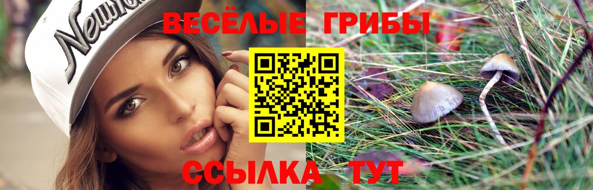 Галлюциногенные грибы Psilocybine cubensis  Псилоцибиновые грибы мухоморы  Курчалой  Вход с VPN 