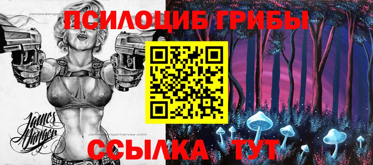 Галлюциногенные грибы Magic Shrooms Курчалой