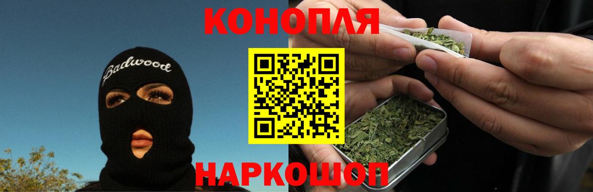 Шишки марихуана сатива  МАРИХУАНА план  Курчалой  Вход с VPN 